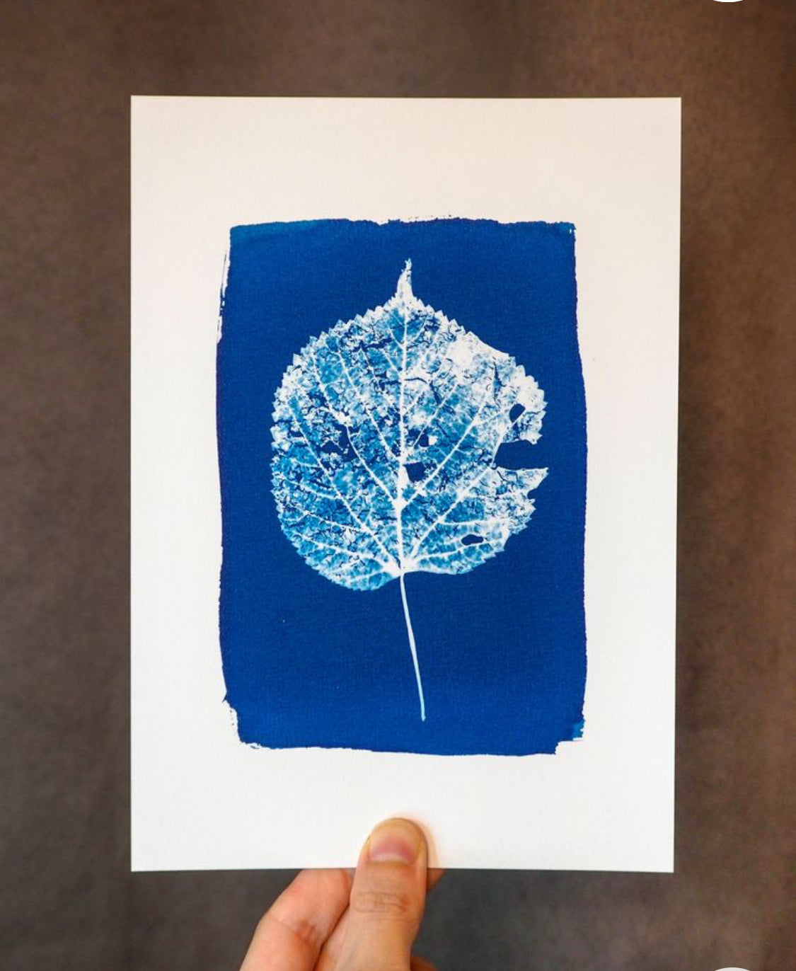 Kerstkaarten maken met cyanotype