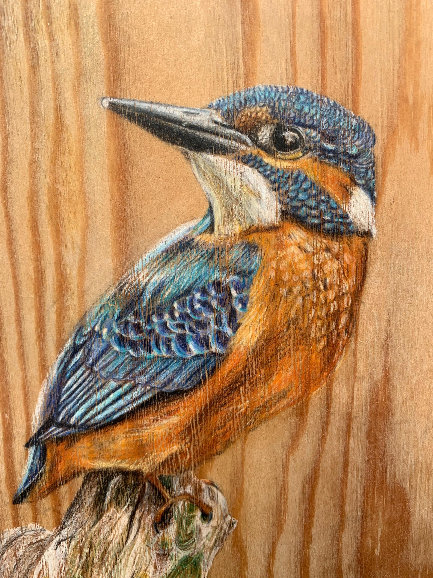 Theedoos met ijsvogel