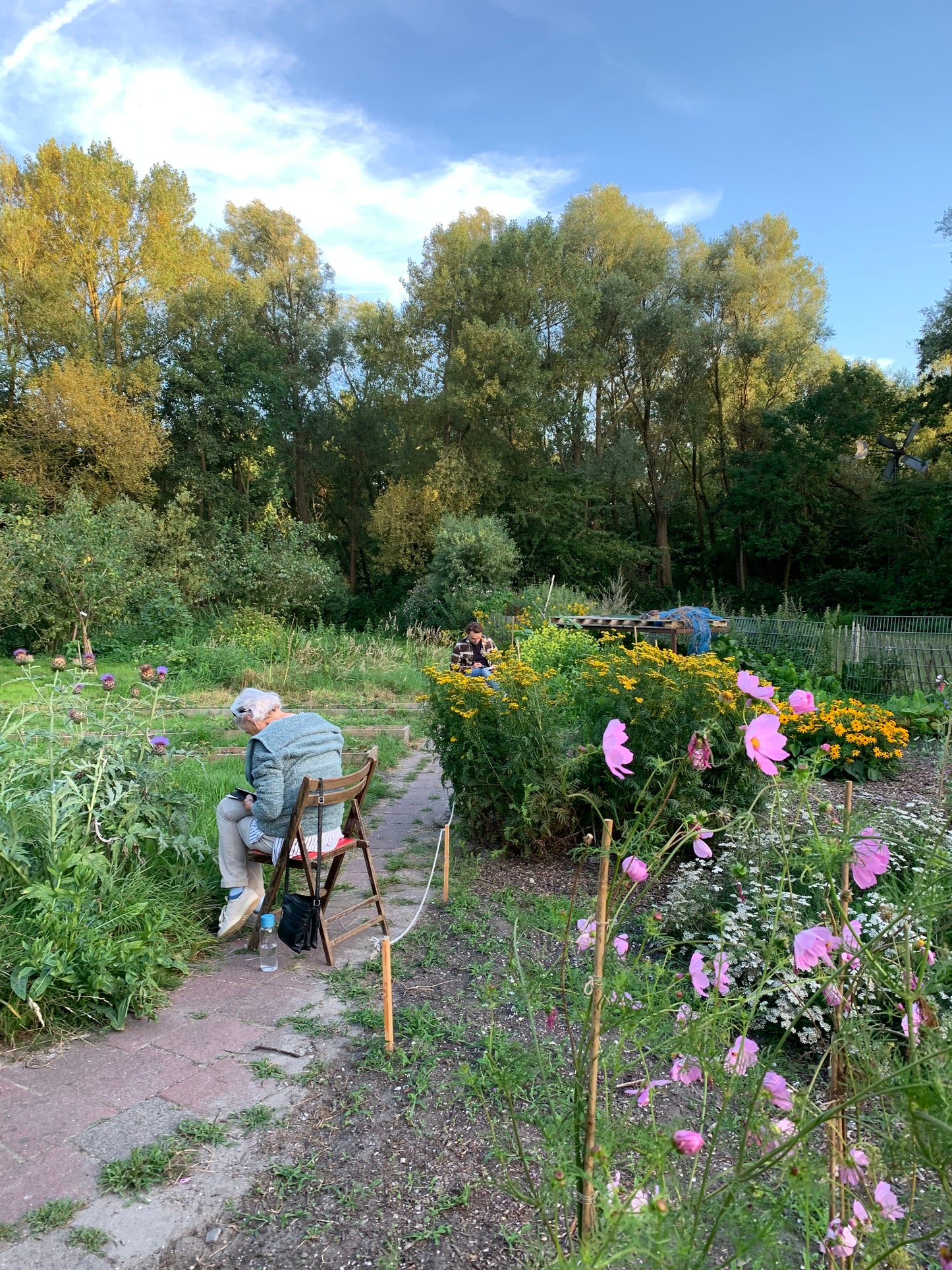 Workshop botanisch tekenen