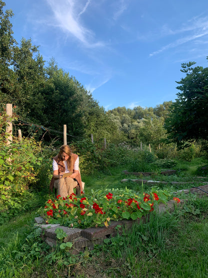 Workshop botanisch tekenen