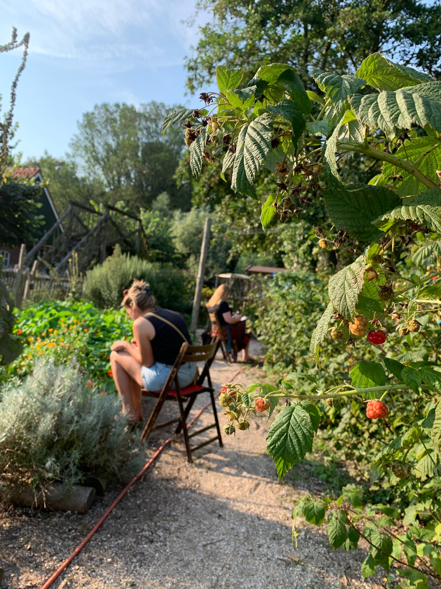 Workshop botanisch tekenen